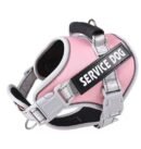 Explosion proof neck collar, large dog traction, P-rope vest style dog chest harness