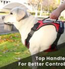 New Chest Strap Explosion proof Shock Absorber Traction Belt Night Vision Reflective Pet
