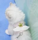 Angel Wings Pet Traction Rope Vest Style
