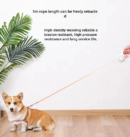 LED luminous dog leash, pet automatic traction leash, retractable dog walking leash, dog leash, dog supplies leash