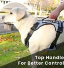 New Chest Strap Explosion proof Shock Absorber Traction Belt Night Vision Reflective Pet