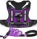 New Chest Strap Explosion proof Shock Absorber Traction Belt Night Vision Reflective Pet
