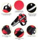 Saddle style reflective pet leash PU leather leash P rope