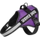 Saddle style reflective pet leash PU leather leash P rope