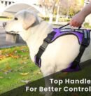 New Chest Strap Explosion proof Shock Absorber Traction Belt Night Vision Reflective Pet
