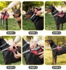 Saddle style reflective pet leash PU leather leash P rope