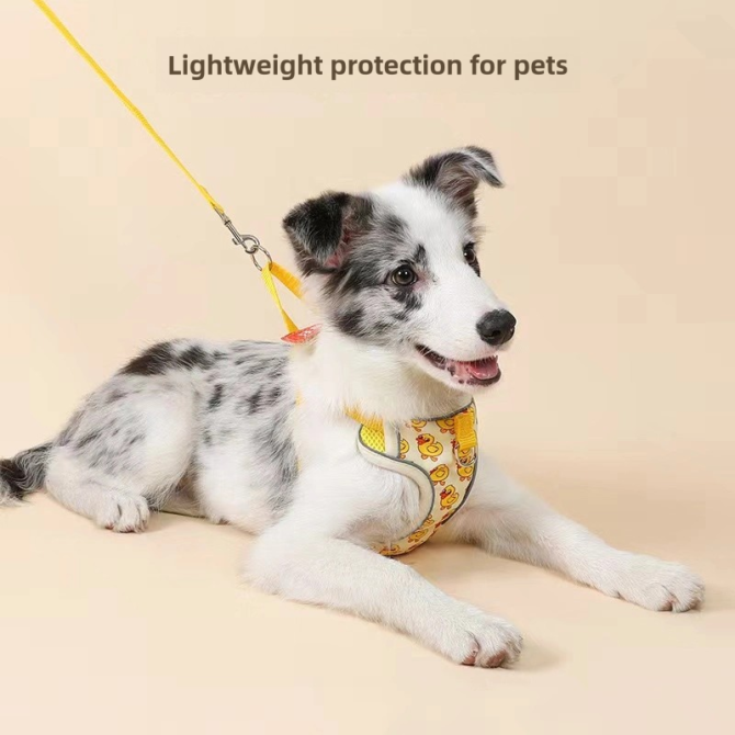 Little yellow duck, cat leash, cute dog chest harness, pet walking rope, pet supplies for outdoor activities