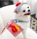 French fries appearance chest and back traction rope set, four season pet clothing, outdoor sun hat