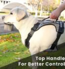 New Chest Strap Explosion proof Shock Absorber Traction Belt Night Vision Reflective Pet