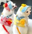 French fries appearance chest and back traction rope set, four season pet clothing, outdoor sun hat