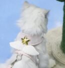 Angel Wings Pet Traction Rope Vest Style