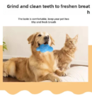 Pet voice toys, cat and dog toys, plush interactive toys
