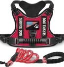 New Chest Strap Explosion proof Shock Absorber Traction Belt Night Vision Reflective Pet