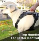 New Chest Strap Explosion proof Shock Absorber Traction Belt Night Vision Reflective Pet