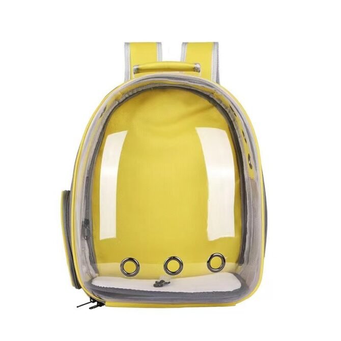 Transparent outdoor cat bag, portable for going out