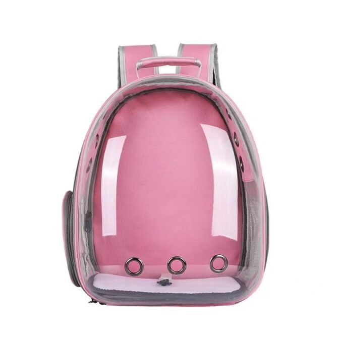 Transparent outdoor cat bag, portable for going out