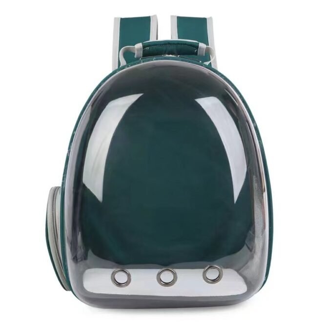 Transparent outdoor cat bag, portable for going out
