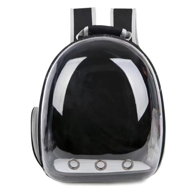 Transparent outdoor cat bag, portable for going out