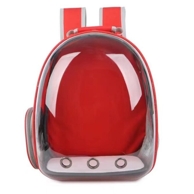 Transparent outdoor cat bag, portable for going out