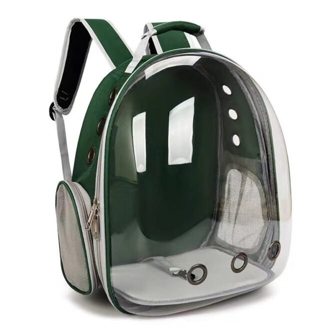 Transparent outdoor cat bag, portable for going out
