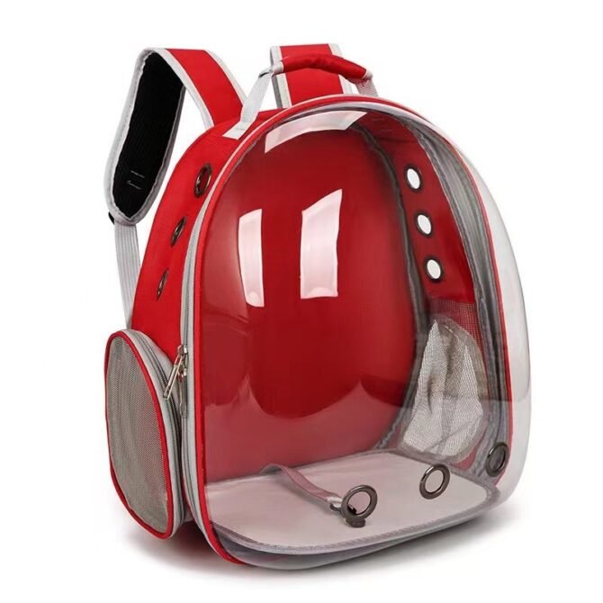 Transparent outdoor cat bag, portable for going out