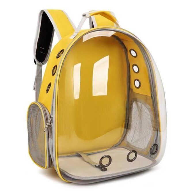 Transparent outdoor cat bag, portable for going out