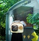Cat bag for outdoor use, portable cat backpack, pet backpack, backpack, warm car tool, dog, large capacity cat box