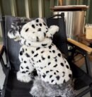 Dog clothing, winter warm fur coat