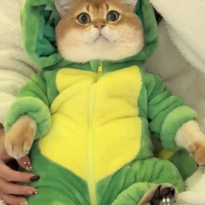 Cute Dinosaur Shaped Cat Clothes for Autumn and Winter Thickened Cute Transformation Dress