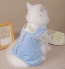 Cat clothing keeps warm and prevents shedding of fur in winter