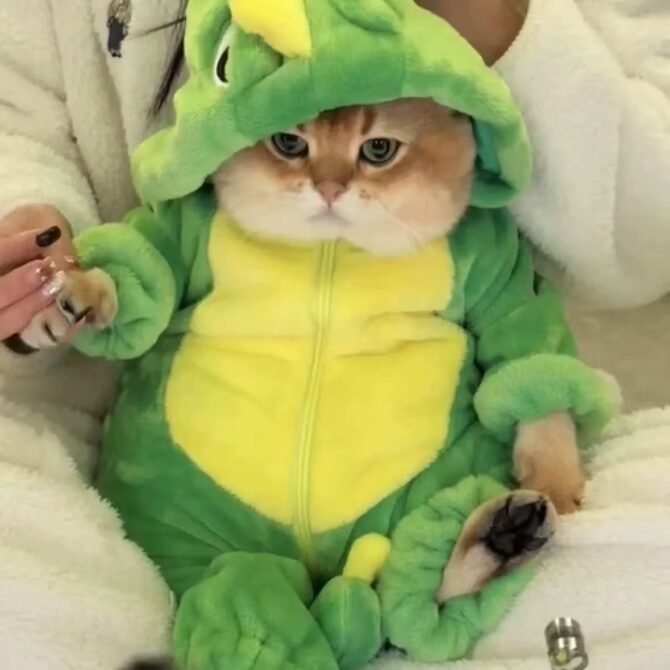 Cute Dinosaur Shaped Cat Clothes for Autumn and Winter Thickened Cute Transformation Dress