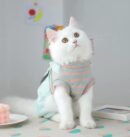 Cat clothing autumn and winter warm pet clothing