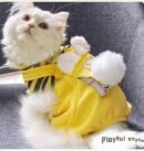 Cat clothing keeps warm and prevents shedding of fur in winter