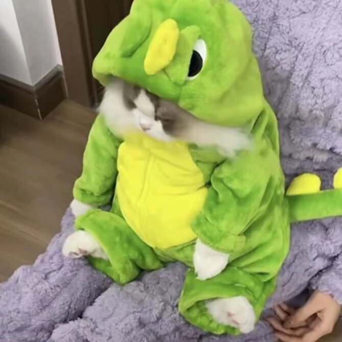 Cute Dinosaur Shaped Cat Clothes for Autumn and Winter Thickened Cute Transformation Dress