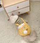Cat clothing keeps warm and prevents shedding of fur in winter
