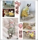 Cat clothing keeps warm and prevents shedding of fur in winter