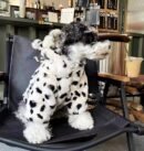 Dog clothing, winter warm fur coat
