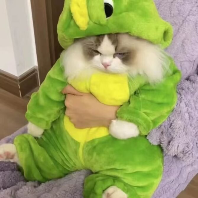 Cute Dinosaur Shaped Cat Clothes for Autumn and Winter Thickened Cute Transformation Dress